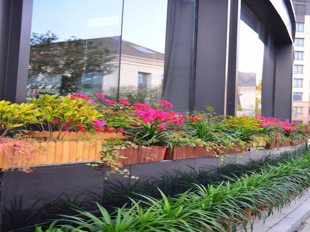Urban Island Hotel